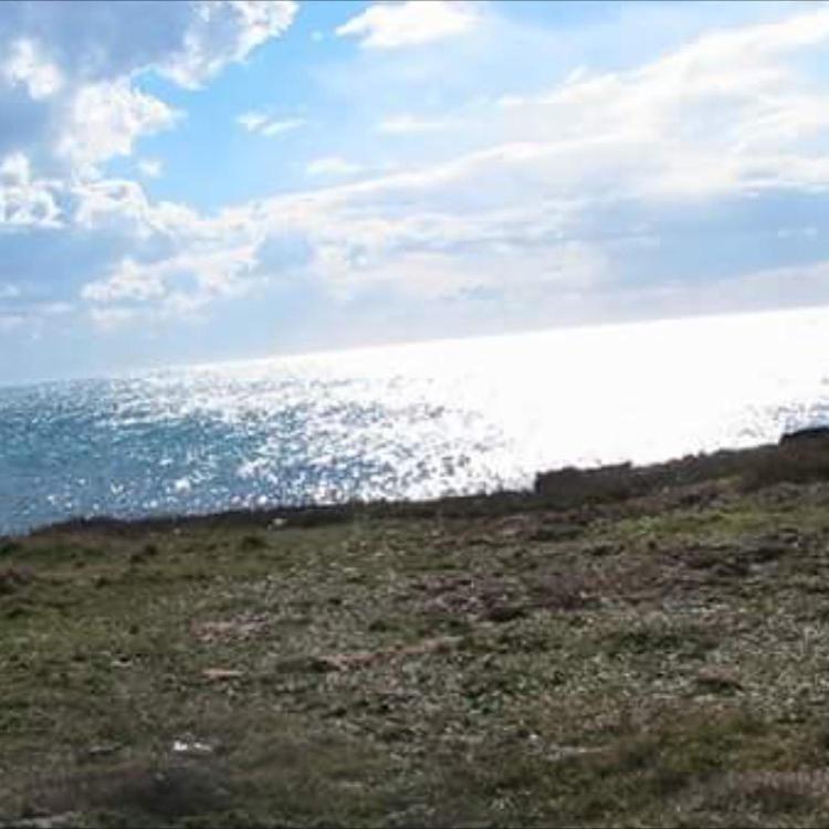 Donna Concetta Casa Vacanze Felline Exterior foto